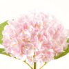 Artificial Flower 22*22*47cm Hydrangea single stem GS-17724007 Single Flowers YeahFlower is one of Chinese leading OEM manufacturers and exporters , supplying the silk flowers, wholesale artificial trees