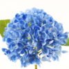 Artificial Flower 22*22*47cm Hydrangea single stem GS-17724009 2024Mar YeahFlower is one of Chinese leading OEM manufacturers and exporters , supplying the silk flowers, wholesale artificial trees