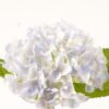 Artificial Flower 22*22*47cm Hydrangea single stem GS-17724010 2024Mar YeahFlower is one of Chinese leading OEM manufacturers and exporters , supplying the silk flowers, wholesale artificial trees