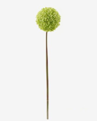 Artificial Flower 15*15*71cm Onion single stem GS-51624002-G1 2024Apr YeahFlower is one of Chinese leading OEM manufacturers and exporters , supplying the silk flowers, wholesale artificial trees