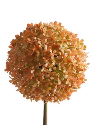 Artificial Flower 15*15*71cm Onion single stem GS-51624002-O1 2024Apr YeahFlower is one of Chinese leading OEM manufacturers and exporters , supplying the silk flowers, wholesale artificial trees