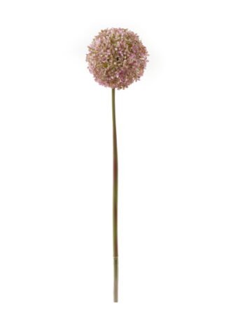 Artificial Flower 15*15*71cm Onion single stem GS-51624002-R1 Single Flowers 3,000+ sqm showroom with thousands of artificial flowers, plants & trees ready for global sourcing.