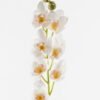 Artificial Flower 14*89cm Orchid *7 single stem GS-64923003-W2 2024Mar YeahFlower is one of Chinese leading OEM manufacturers and exporters , supplying the silk flowers, wholesale artificial trees