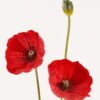 Artificial Flower POPY GS-46723049 2024Mar YeahFlower is one of Chinese leading OEM manufacturers and exporters , supplying the silk flowers, wholesale artificial trees