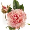 Artificial Flower Peony 2 single stem GS-48723030-P1_1 Artificial Flower 18*18*48cm Peony *2 single stem GS-48723030-P1 2024Mar YeahFlower is one of Chinese leading OEM manufacturers and exporters , supplying the silk flowers, wholesale artificial trees
