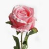 Artificial Flower ROSE*1 GS-17823008-P1 2024Mar YeahFlower is one of Chinese leading OEM manufacturers and exporters , supplying the silk flowers, wholesale artificial trees