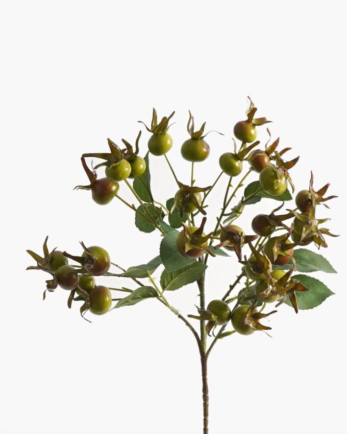 Artificial Flower Rose Hip single stem GS-51624007_2 Artificial Flower 18*18*71cm Rose Hip single stem GS-51624007 2024Apr YeahFlower is one of Chinese leading OEM manufacturers and exporters , supplying the silk flowers, wholesale artificial trees