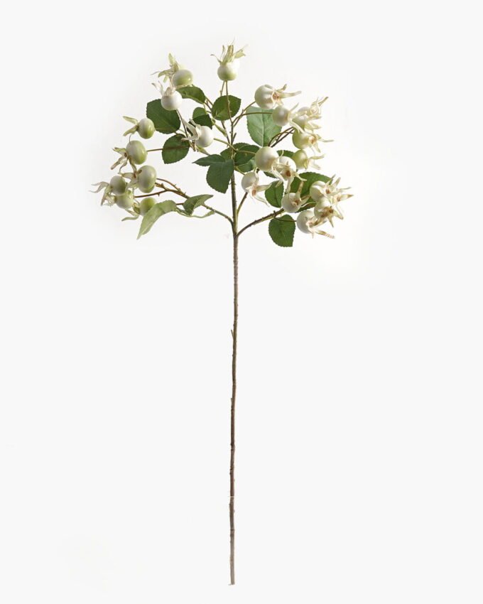 Artificial Flower Rose Hip single stem GS-51624007_4 Artificial Flower 18*18*71cm Rose Hip single stem GS-51624007 2024Apr YeahFlower is one of Chinese leading OEM manufacturers and exporters , supplying the silk flowers, wholesale artificial trees