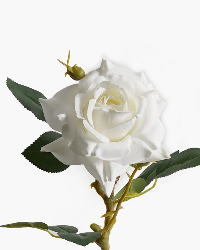 Artificial Flower SINGLE ROSE GS-17823012-W1 2024Apr YeahFlower is one of Chinese leading OEM manufacturers and exporters , supplying the silk flowers, wholesale artificial trees