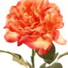 Artificial Flower 15*15*65CM Single Wild Rose GS-2580063-O1 2024Mar YeahFlower is one of Chinese leading OEM manufacturers and exporters , supplying the silk flowers, wholesale artificial trees