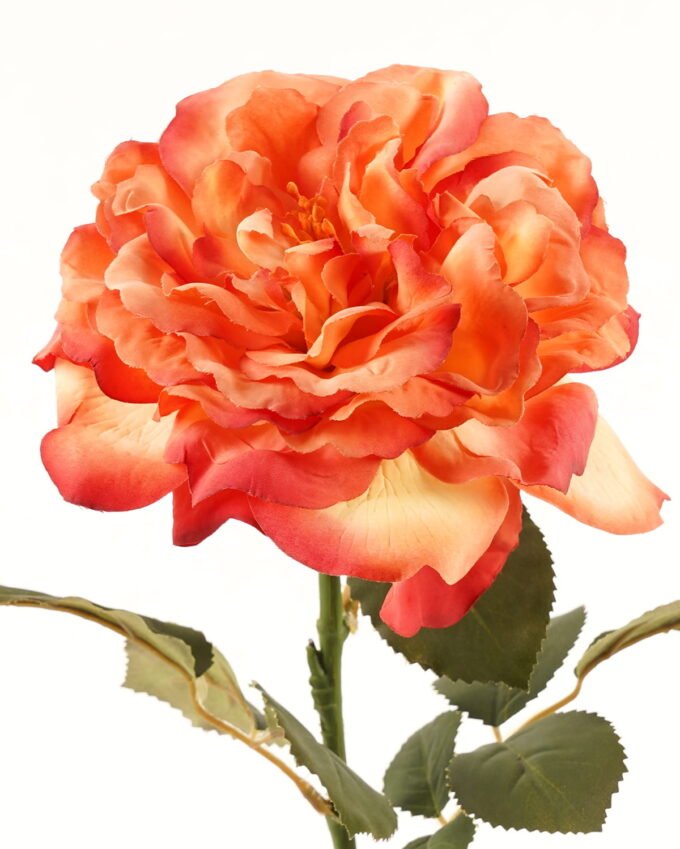 Artificial Flower 15*15*65CM Single Wild Rose GS-2580063-O1 2024Mar YeahFlower is one of Chinese leading OEM manufacturers and exporters , supplying the silk flowers, wholesale artificial trees