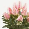 Artificial Flower TULIP BUSH*10 GS-17823015 2024Apr YeahFlower is one of Chinese leading OEM manufacturers and exporters , supplying the silk flowers, wholesale artificial trees