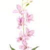 Artificial Flower 14*67cm cattleya single stem GS-17724016 2024Mar YeahFlower is one of Chinese leading OEM manufacturers and exporters , supplying the silk flowers, wholesale artificial trees