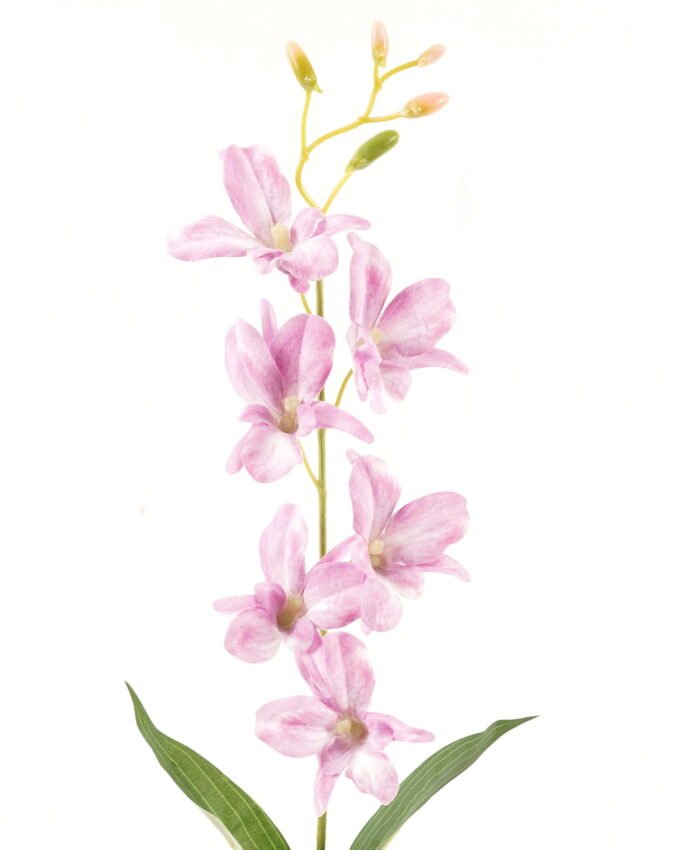 Artificial Flower 14*67cm cattleya single stem GS-17724016 2024Mar YeahFlower is one of Chinese leading OEM manufacturers and exporters , supplying the silk flowers, wholesale artificial trees