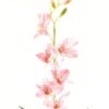 Artificial Flower 14*67cm cattleya single stem GS-17724018 2024Mar YeahFlower is one of Chinese leading OEM manufacturers and exporters , supplying the silk flowers, wholesale artificial trees