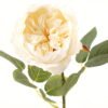 Artificial Flower 18*45CM single rose GS-4630001-C1-128J 2024Mar YeahFlower is one of Chinese leading OEM manufacturers and exporters , supplying the silk flowers, wholesale artificial trees