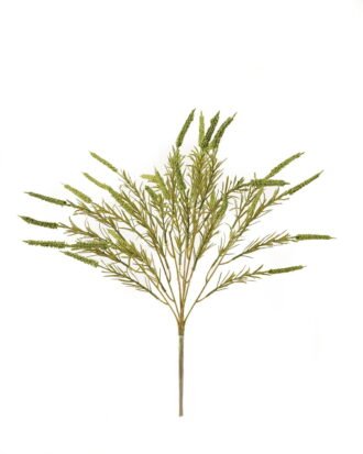 Artificial Grass 22*22*46cm Setaria viridis *2 bush GS-51624003-G1 2024Apr YeahFlower is one of Chinese leading OEM manufacturers and exporters , supplying the silk flowers, wholesale artificial trees