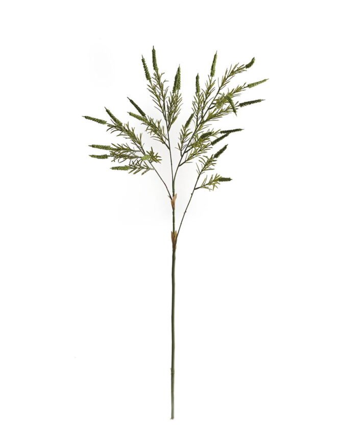 Artificial Grass 24*24*102cm Setaria viridis single stem GS-51624005 2024Apr YeahFlower is one of Chinese leading OEM manufacturers and exporters , supplying the silk flowers, wholesale artificial trees