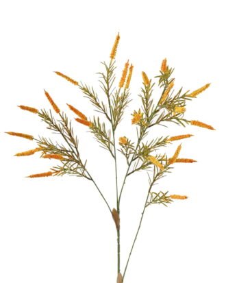 Artificial Grass 24*24*102cm etaria viridis single stem GS-51624004-Y1 2024Apr YeahFlower is one of Chinese leading OEM manufacturers and exporters , supplying the silk flowers, wholesale artificial trees