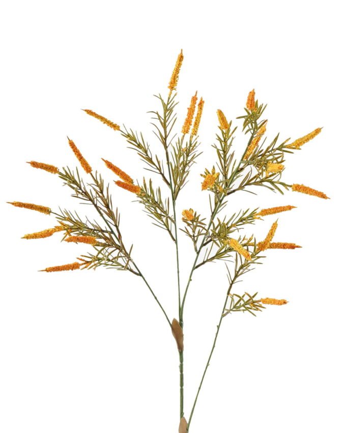 Artificial Grass 24*24*102cm etaria viridis single stem GS-51624004-Y1 2024Apr YeahFlower is one of Chinese leading OEM manufacturers and exporters , supplying the silk flowers, wholesale artificial trees