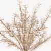 Artificial Plant 18*18*45cm Asparagus bush GS-51623010R-J2 2024Mar YeahFlower is one of Chinese leading OEM manufacturers and exporters , supplying the silk flowers, wholesale artificial trees