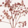 Artificial Plant 16*51cm Babysbreath single stem GS-59123034JJA-R1 2024Mar YeahFlower is one of Chinese leading OEM manufacturers and exporters , supplying the silk flowers, wholesale artificial trees