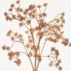 Artificial Plant 16*51cm Babysbreath single stem GS-59123034JJA 2024Mar YeahFlower is one of Chinese leading OEM manufacturers and exporters , supplying the silk flowers, wholesale artificial trees