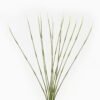 Artificial Plant 25*25*54cm Bamboo *12 bundle GS-73024009 2024Apr YeahFlower is one of Chinese leading OEM manufacturers and exporters , supplying the silk flowers, wholesale artificial trees