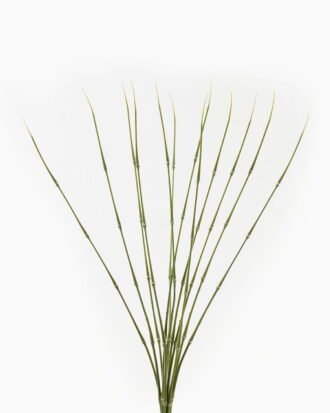 Artificial Plant 25*25*54cm Bamboo *12 bundle GS-73024009 2024Apr YeahFlower is one of Chinese leading OEM manufacturers and exporters , supplying the silk flowers, wholesale artificial trees Artificial Plant 25*25*54cm Bamboo *12 bundle GS-73024009 2024Apr YeahFlower is one of Chinese leading OEM manufacturers and exporters , supplying the silk flowers, wholesale artificial trees