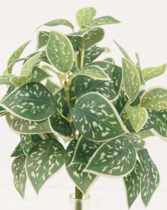 Artificial Plant 20*20*28cm Epipremnum Aureum *7 bush GS-05524004 2024Mar YeahFlower is one of Chinese leading OEM manufacturers and exporters , supplying the silk flowers, wholesale artificial trees