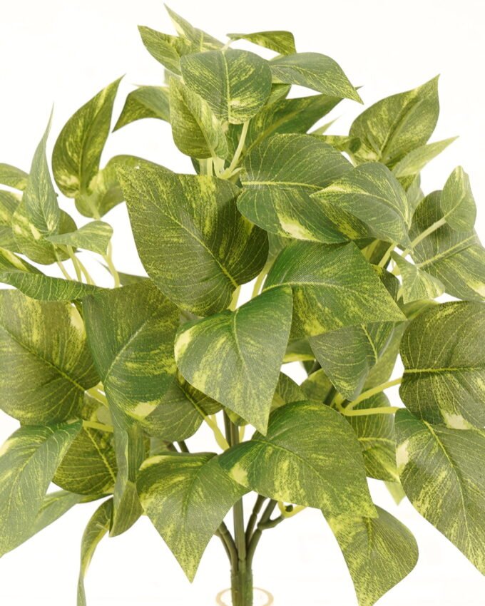 Artificial Plant 20*20*31cm Epipremnum Aureum *7 bush GS-05524008 2024Mar YeahFlower is one of Chinese leading OEM manufacturers and exporters , supplying the silk flowers, wholesale artificial trees