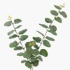 Artificial Plant Eucalyptus*3 GS-60423004-G3 2024Mar YeahFlower is one of Chinese leading OEM manufacturers and exporters , supplying the silk flowers, wholesale artificial trees