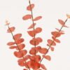 Artificial Plant 16*16*53cm Eucalyptus *3 single stem GS-41323008-R1 2024Mar YeahFlower is one of Chinese leading OEM manufacturers and exporters , supplying the silk flowers, wholesale artificial trees