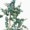 Artificial Plant 28*42cm Eucalyptus Hanging GS-73024006-G2 Banners&Garlands YeahFlower is one of Chinese leading OEM manufacturers and exporters , supplying the silk flowers, wholesale artificial trees