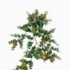Artificial Plant 28*42cm Eucalyptus Hanging GS-73024006 2024Apr YeahFlower is one of Chinese leading OEM manufacturers and exporters , supplying the silk flowers, wholesale artificial trees