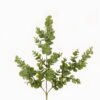 Artificial Plant Eucalyptus Spray*3 GS-05523082 2024Mar YeahFlower is one of Chinese leading OEM manufacturers and exporters , supplying the silk flowers, wholesale artificial trees
