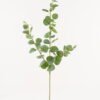 Artificial Plant Eucalyptus single stem GS-17724033_4 Artificial Plant 26*26*104cm Eucalyptus single stem GS-17724033 2024Mar YeahFlower is one of Chinese leading OEM manufacturers and exporters , supplying the silk flowers, wholesale artificial trees
