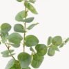Artificial Plant Eucalyptus single stem GS-17724033_8 Artificial Plant 26*26*104cm Eucalyptus single stem GS-17724033 2024Mar YeahFlower is one of Chinese leading OEM manufacturers and exporters , supplying the silk flowers, wholesale artificial trees