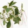 Artificial Plant 22*22*34cm Fruit *3 bundle GS-73024004-W1 Leaves&Sprays&Foliages 3,000+ sqm showroom with thousands of artificial flowers, plants & trees ready for global sourcing.