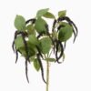 Artificial Plant 22*22*34cm Fruit *3 bundle GS-73024004 2024Apr YeahFlower is one of Chinese leading OEM manufacturers and exporters , supplying the silk flowers, wholesale artificial trees
