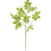 Artificial Plant Leaf single stem GS-53623064-G1_1 Artificial Plant 30*30*71cm Leaf single stem GS-53623064-G1 2024Mar YeahFlower is one of Chinese leading OEM manufacturers and exporters , supplying the silk flowers, wholesale artificial trees
