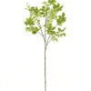 Artificial Plant Leaf single stem GS-53623065-G1 Artificial Plant 40*40*125cm Leaf single stem GS-53623065-G1 2024Mar YeahFlower is one of Chinese leading OEM manufacturers and exporters , supplying the silk flowers, wholesale artificial trees
