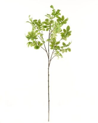 Artificial Plant 40*40*125cm Leaf single stem GS-53623065-G1 2024Mar YeahFlower is one of Chinese leading OEM manufacturers and exporters , supplying the silk flowers, wholesale artificial trees