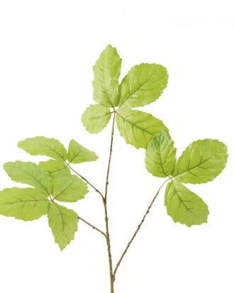 Artificial Plant 35*35*79cm Leaf single stem GS-53623066-G1 2024Mar YeahFlower is one of Chinese leading OEM manufacturers and exporters , supplying the silk flowers, wholesale artificial trees