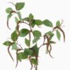 Artificial Plant 35*35*86cm Mulberries single stem GS-73024003-K1 2024Apr YeahFlower is one of Chinese leading OEM manufacturers and exporters , supplying the silk flowers, wholesale artificial trees