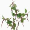 Artificial Plant 35*35*86cm Mulberries single stem GS-73024003-R1 2024Apr YeahFlower is one of Chinese leading OEM manufacturers and exporters , supplying the silk flowers, wholesale artificial trees