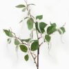Artificial Plant Mulberries single stem GS-73024003-W1_11 Artificial Plant 35*35*86cm Mulberries single stem GS-73024003-W1 2024Apr YeahFlower is one of Chinese leading OEM manufacturers and exporters , supplying the silk flowers, wholesale artificial trees