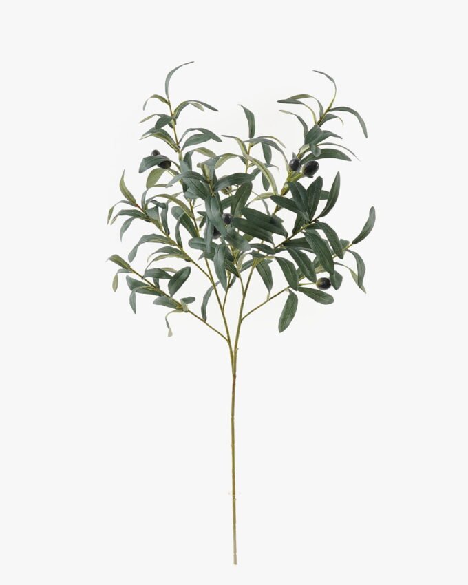 Artificial Plant Olive leaf 2 single stem GS-51624008_3 Artificial Plant 28*28*85cm Olive leaf *2 single stem GS-51624008 2024Apr YeahFlower is one of Chinese leading OEM manufacturers and exporters , supplying the silk flowers, wholesale artificial trees