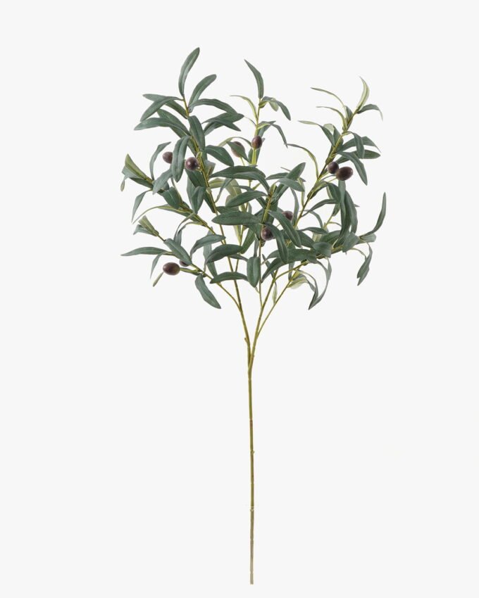 Artificial Plant Olive leaf 2 single stem GS-51624008_4 Artificial Plant 28*28*85cm Olive leaf *2 single stem GS-51624008 2024Apr YeahFlower is one of Chinese leading OEM manufacturers and exporters , supplying the silk flowers, wholesale artificial trees
