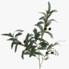 Artificial Plant 25*25*85cm Olive leaf single stem GS-51624009 2024Apr YeahFlower is one of Chinese leading OEM manufacturers and exporters , supplying the silk flowers, wholesale artificial trees